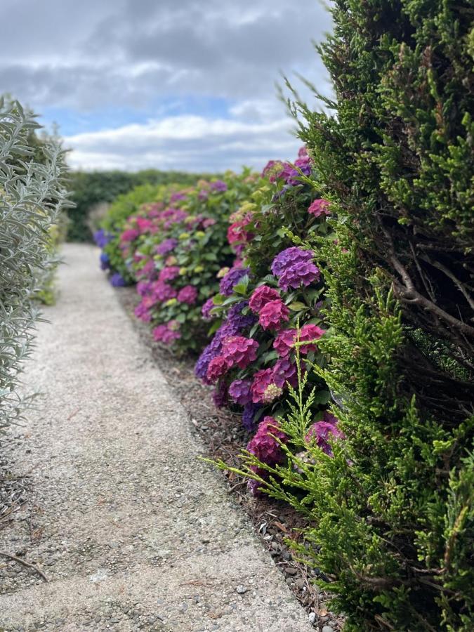 Galloway Farmstay Claunch Newton Stewart Eksteriør bilde