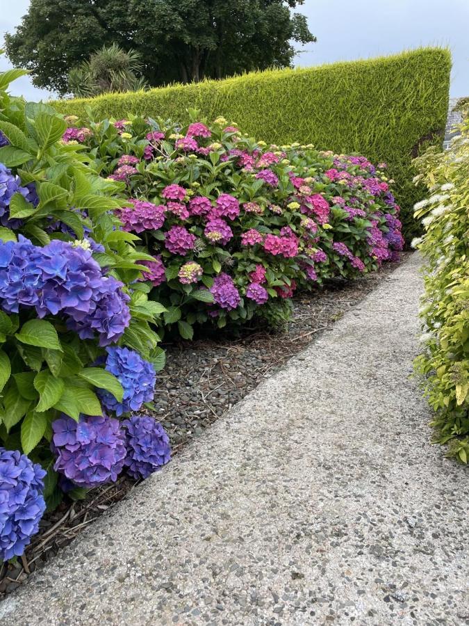 Galloway Farmstay Claunch Newton Stewart Eksteriør bilde