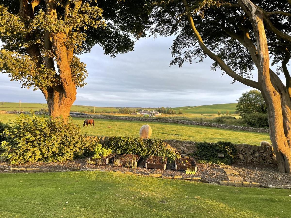 Galloway Farmstay Claunch Newton Stewart Eksteriør bilde